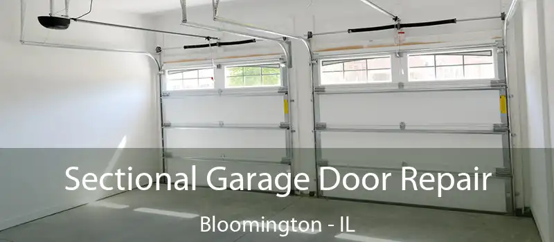 Sectional Garage Door Repair Bloomington - IL