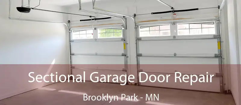  Sectional Garage Door Repair Brooklyn Park - MN