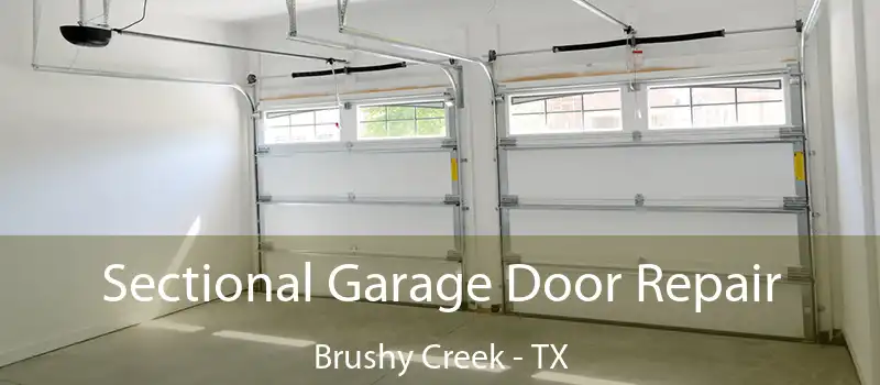 Sectional Garage Door Repair Brushy Creek - TX