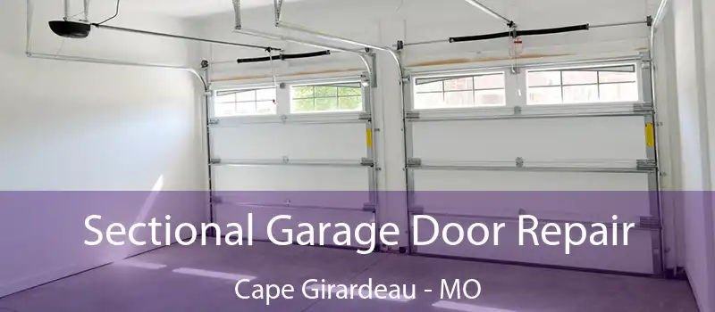 Sectional Garage Door Repair Cape Girardeau - MO