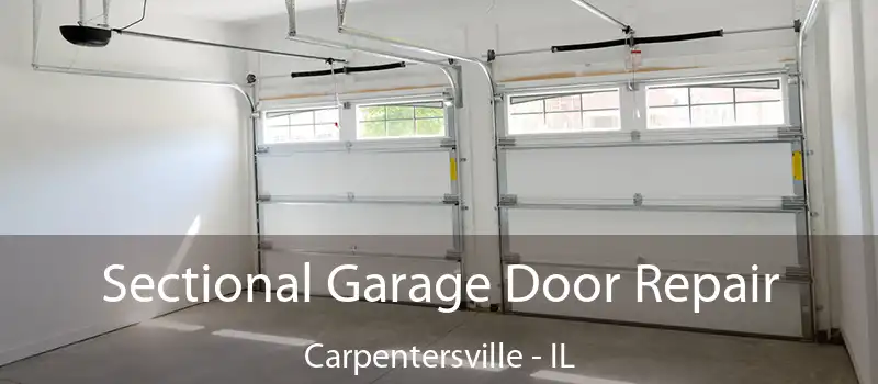 Sectional Garage Door Repair Carpentersville - IL