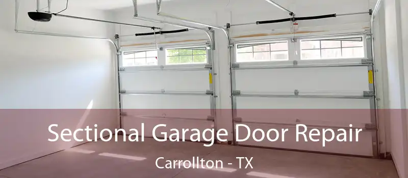  Sectional Garage Door Repair Carrollton - TX