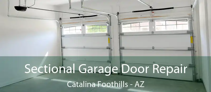 Sectional Garage Door Repair Catalina Foothills - AZ