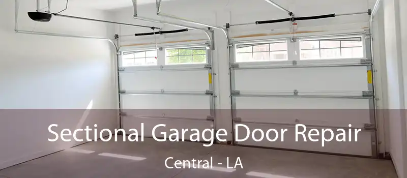  Sectional Garage Door Repair Central - LA