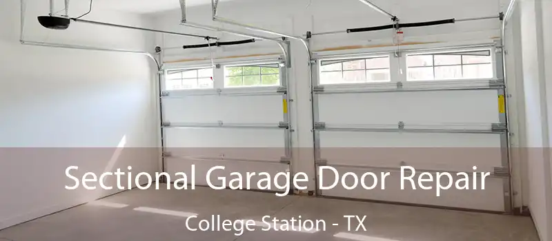 Sectional Garage Door Repair College Station - TX