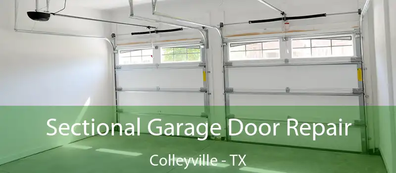  Sectional Garage Door Repair Colleyville - TX