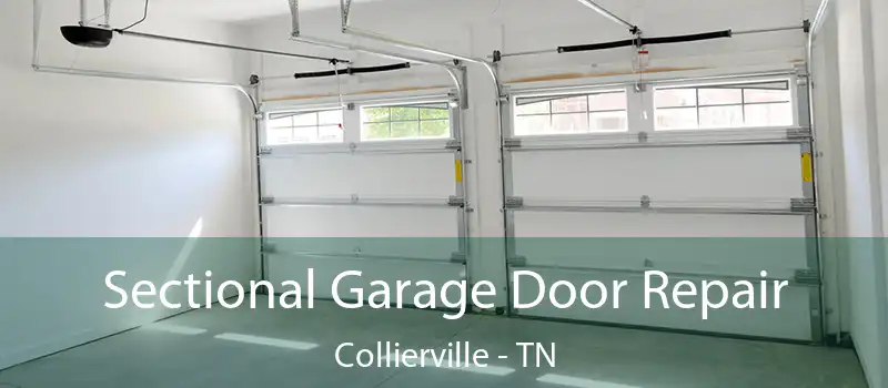  Sectional Garage Door Repair Collierville - TN