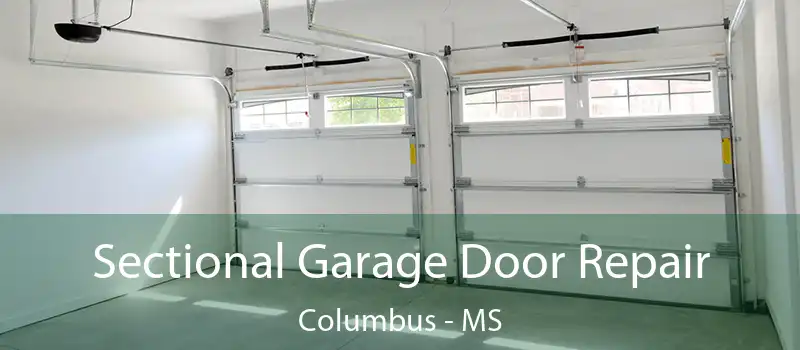  Sectional Garage Door Repair Columbus - MS