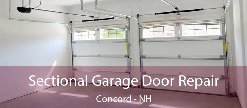  Sectional Garage Door Repair Concord - NH