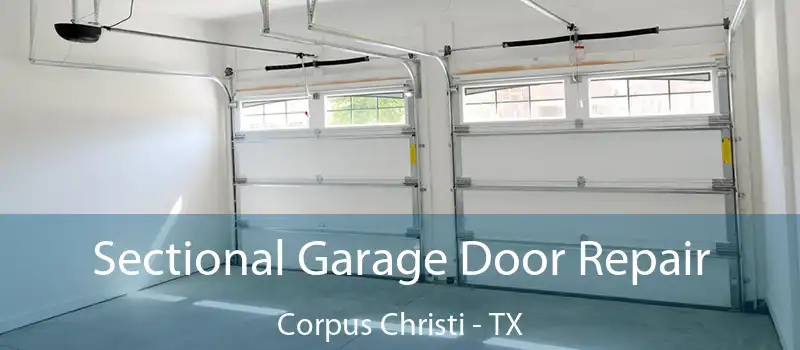  Sectional Garage Door Repair Corpus Christi - TX