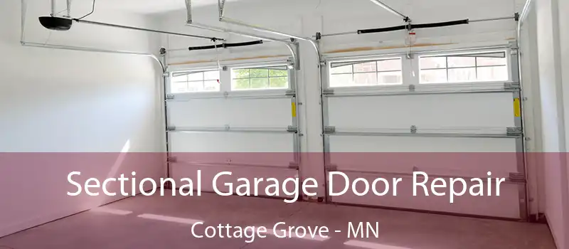 Sectional Garage Door Repair Cottage Grove - MN
