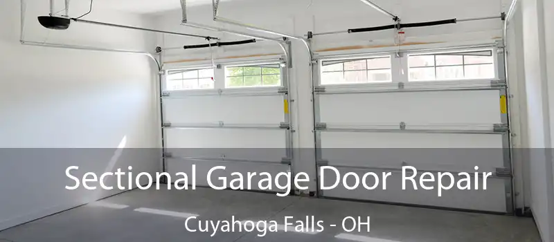  Sectional Garage Door Repair Cuyahoga Falls - OH