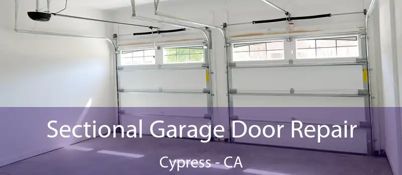  Sectional Garage Door Repair Cypress - CA