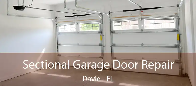 Sectional Garage Door Repair Davie - FL