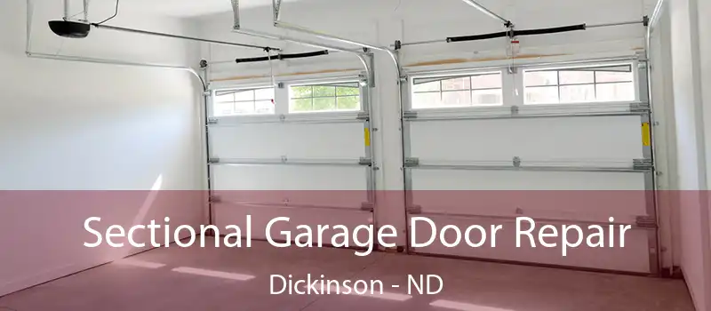  Sectional Garage Door Repair Dickinson - ND