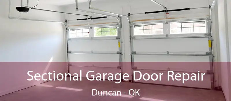  Sectional Garage Door Repair Duncan - OK