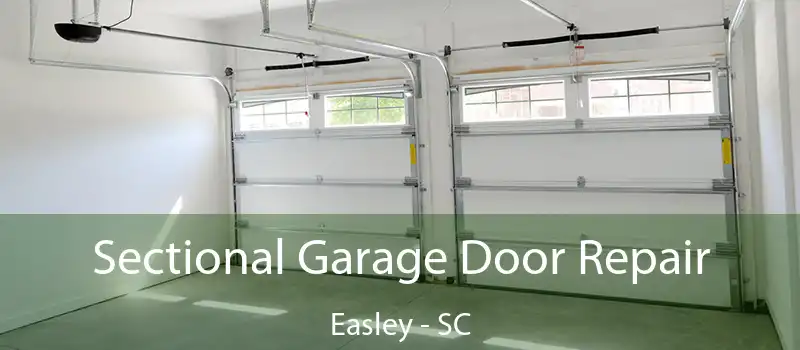 Sectional Garage Door Repair Easley - SC