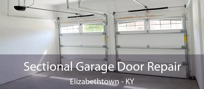  Sectional Garage Door Repair Elizabethtown - KY
