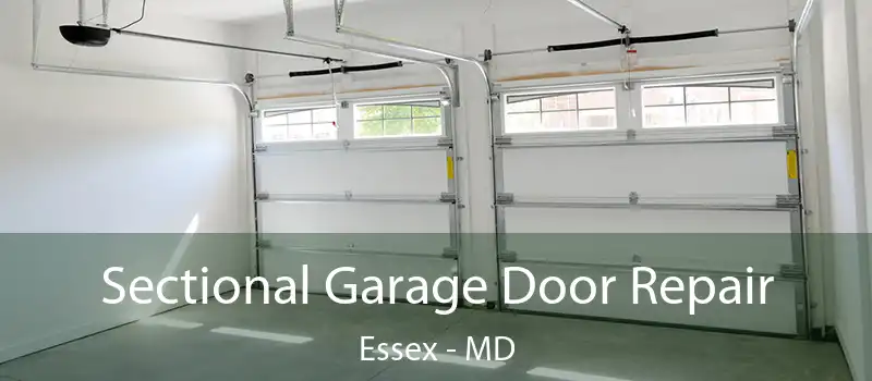  Sectional Garage Door Repair Essex - MD