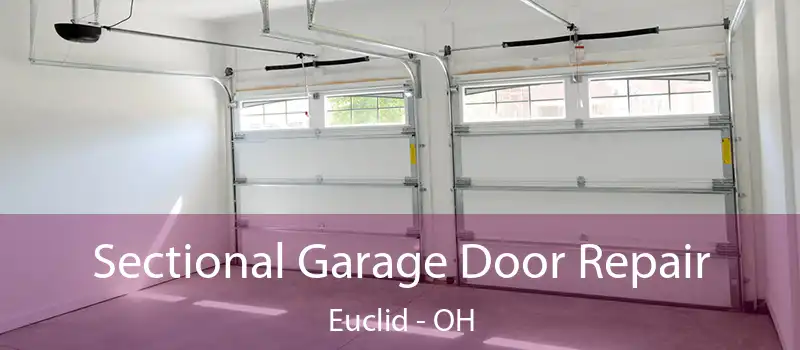  Sectional Garage Door Repair Euclid - OH