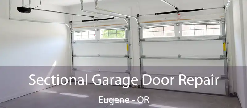  Sectional Garage Door Repair Eugene - OR