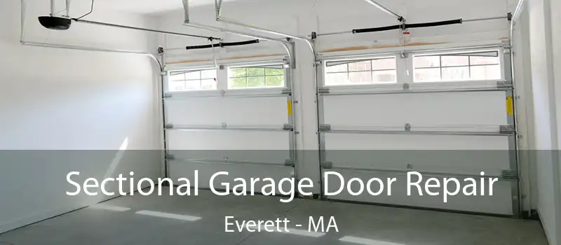  Sectional Garage Door Repair Everett - MA