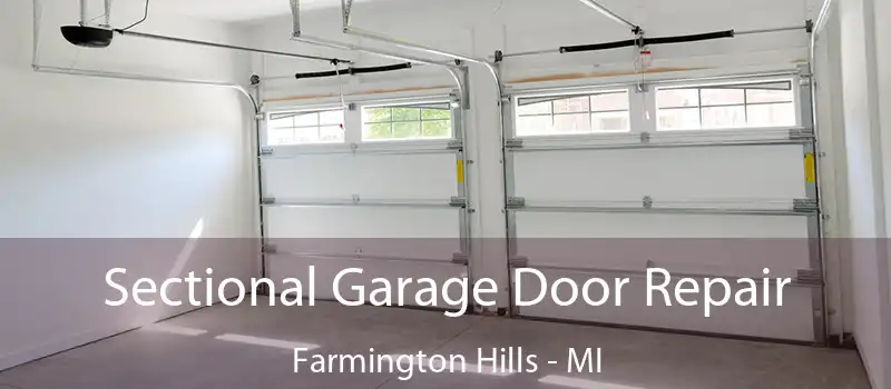  Sectional Garage Door Repair Farmington Hills - MI
