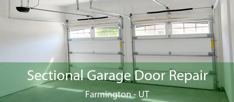  Sectional Garage Door Repair Farmington - UT