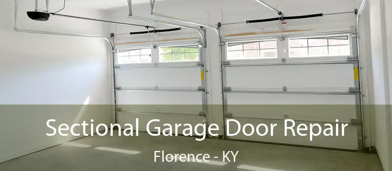  Sectional Garage Door Repair Florence - KY