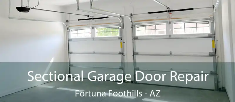  Sectional Garage Door Repair Fortuna Foothills - AZ