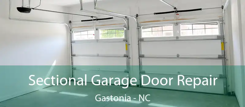  Sectional Garage Door Repair Gastonia - NC