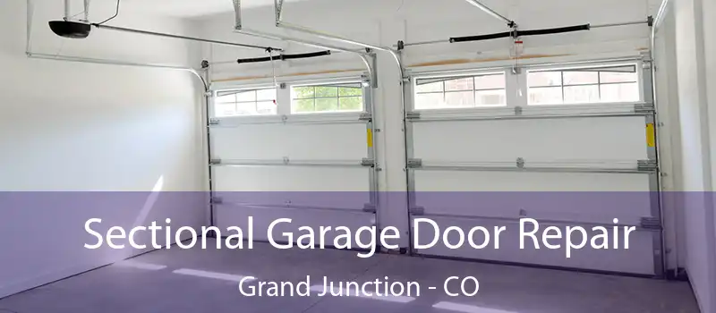 Sectional Garage Door Repair Grand Junction - CO