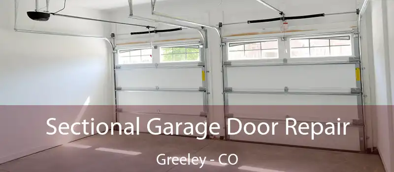  Sectional Garage Door Repair Greeley - CO