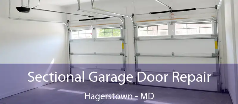  Sectional Garage Door Repair Hagerstown - MD
