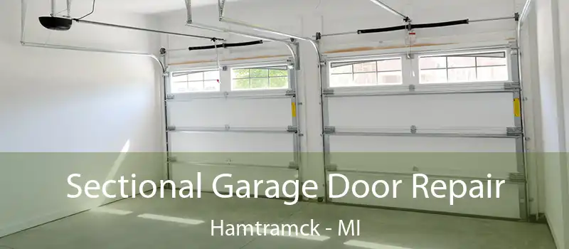 Sectional Garage Door Repair Hamtramck - MI