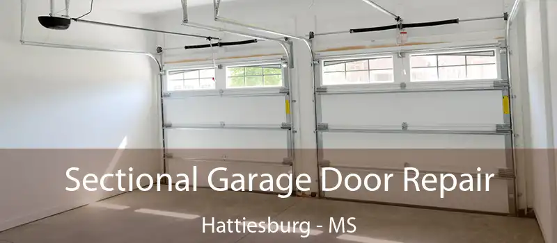  Sectional Garage Door Repair Hattiesburg - MS