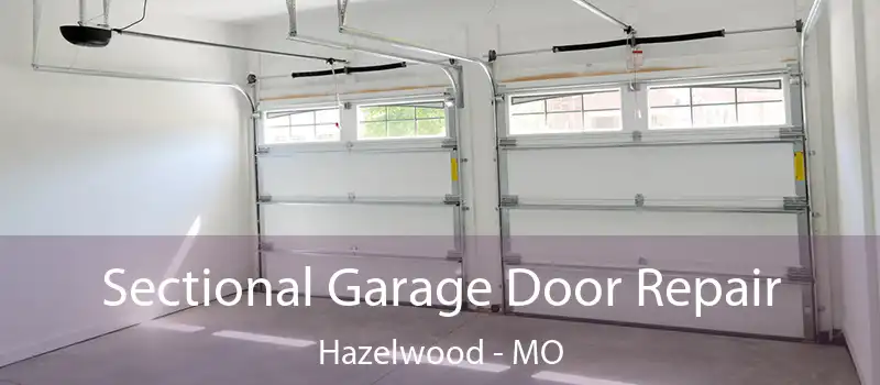  Sectional Garage Door Repair Hazelwood - MO