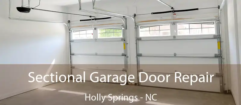  Sectional Garage Door Repair Holly Springs - NC