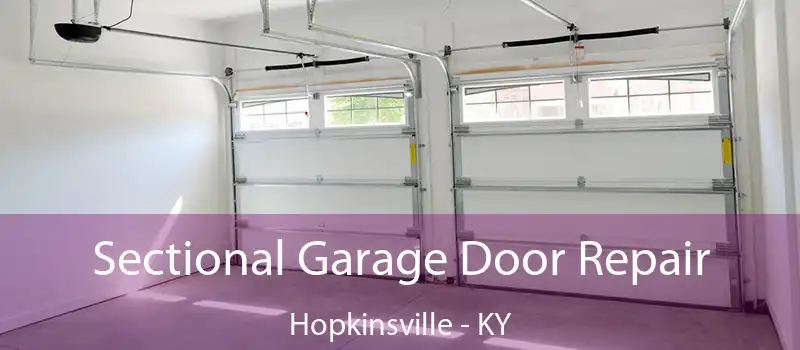  Sectional Garage Door Repair Hopkinsville - KY