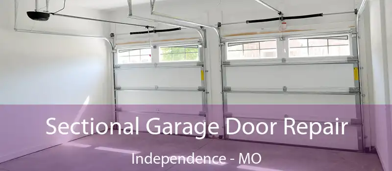  Sectional Garage Door Repair Independence - MO