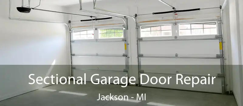  Sectional Garage Door Repair Jackson - MI