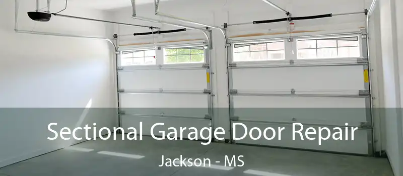  Sectional Garage Door Repair Jackson - MS