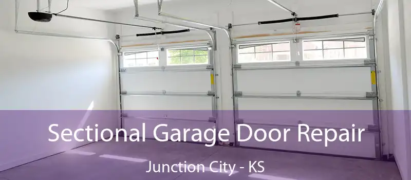  Sectional Garage Door Repair Junction City - KS