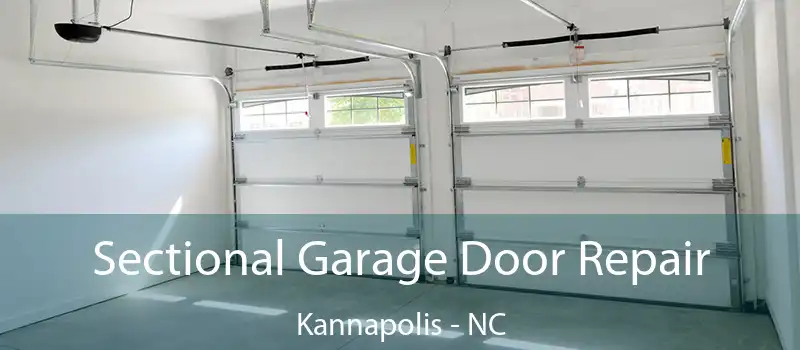  Sectional Garage Door Repair Kannapolis - NC