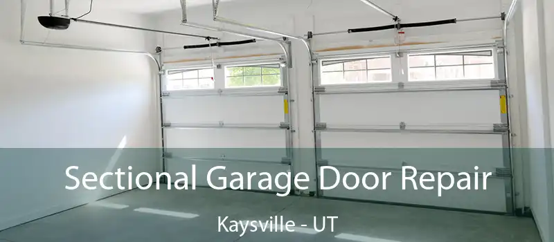  Sectional Garage Door Repair Kaysville - UT