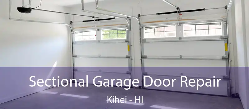  Sectional Garage Door Repair Kihei - HI