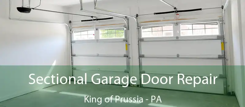  Sectional Garage Door Repair King of Prussia - PA