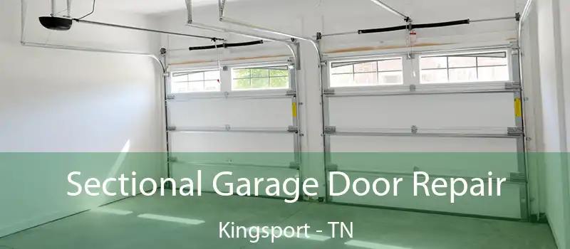  Sectional Garage Door Repair Kingsport - TN