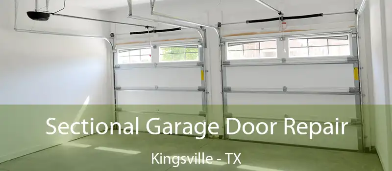  Sectional Garage Door Repair Kingsville - TX