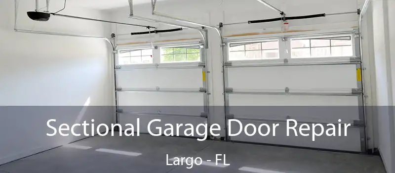Sectional Garage Door Repair Largo - FL